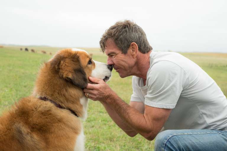 Dog’s Purpose movie.jpg