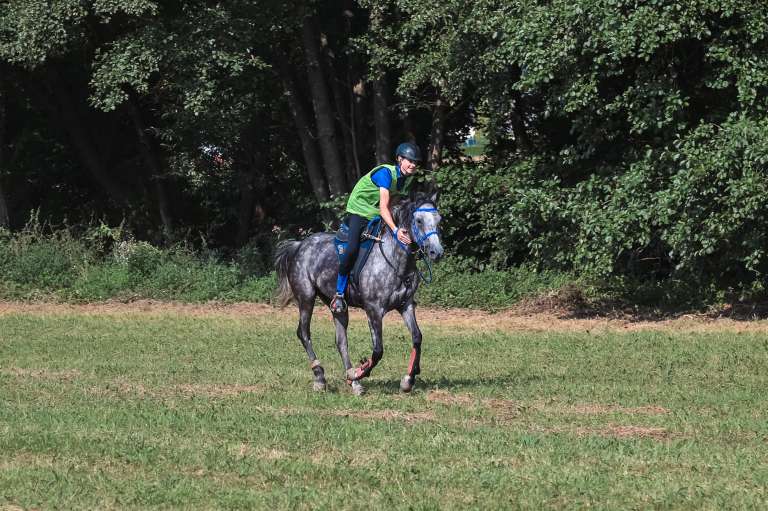 vzdržljivostno-jahanje-endurance-goričko-2023, konj, konji, dolnji-slaveči