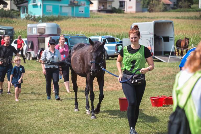 vzdržljivostno-jahanje-endurance-goričko-2023, konj, konji, dolnji-slaveči