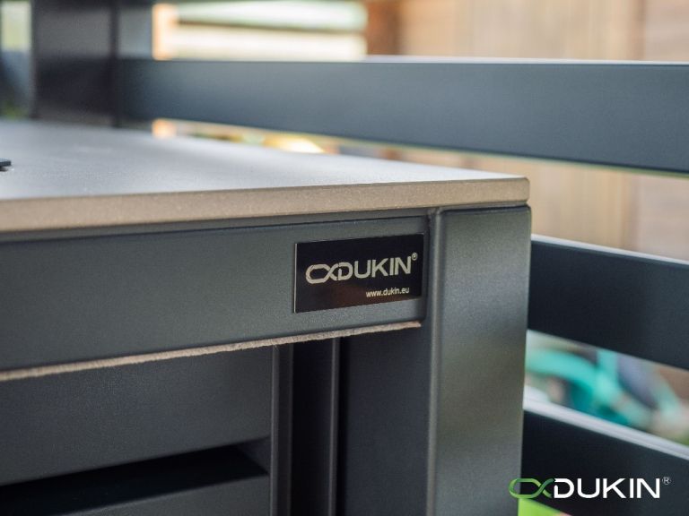 dukin3.jpg