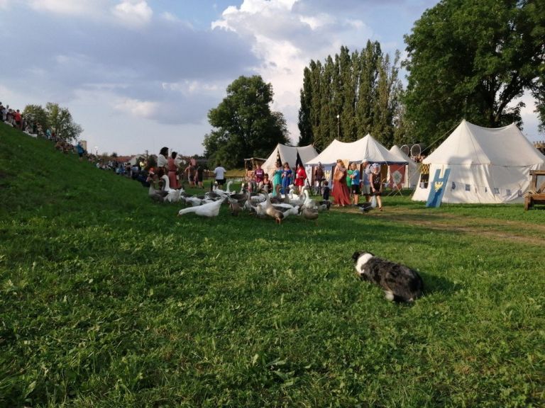 _zuzemberk__2_.jpg