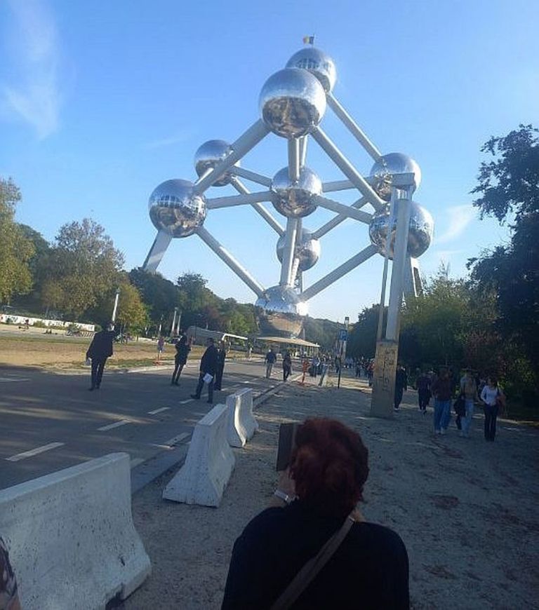 bruselj_001.jpg