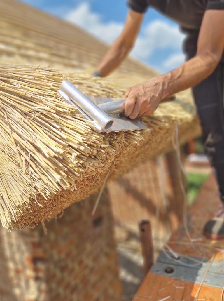 Dokumentarni film o slamokrovstvu Golnar