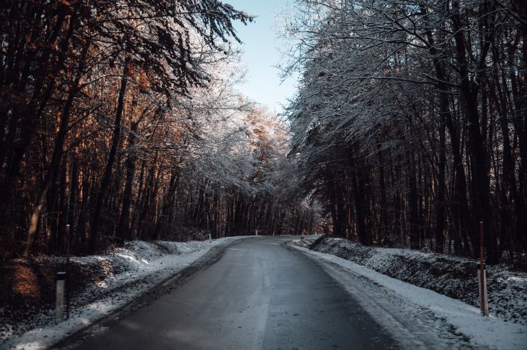 simbolična, sneg, zima, gozd, polje, goričko, zasnežena, taljenje, cesta, ceste