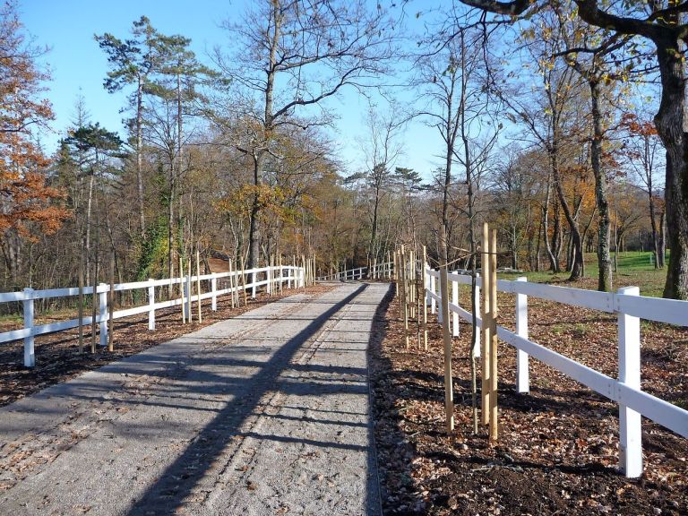 031--LIPICA-poti.jpg