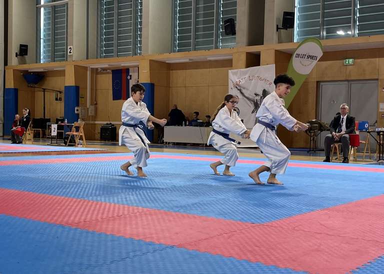 karate, pokalno-tekmovanje, regija, ljutomer