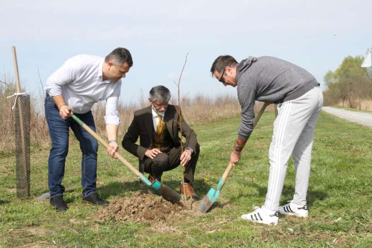 lendava, novorojenc, dan-sajenja-medovitih-rastlin