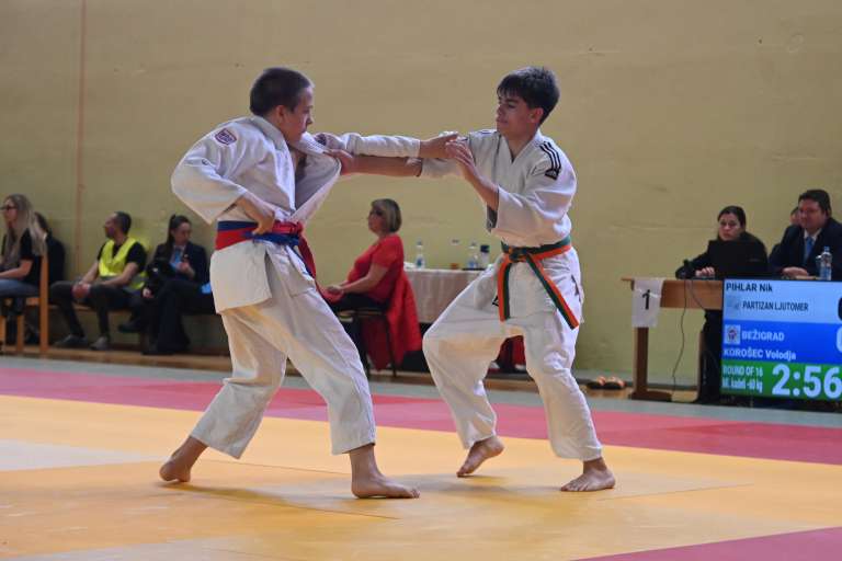 lendava, judo