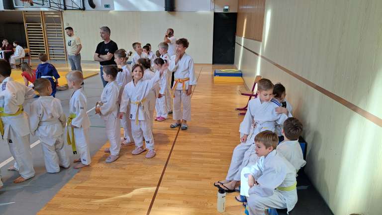 pokal-ptuja, judo