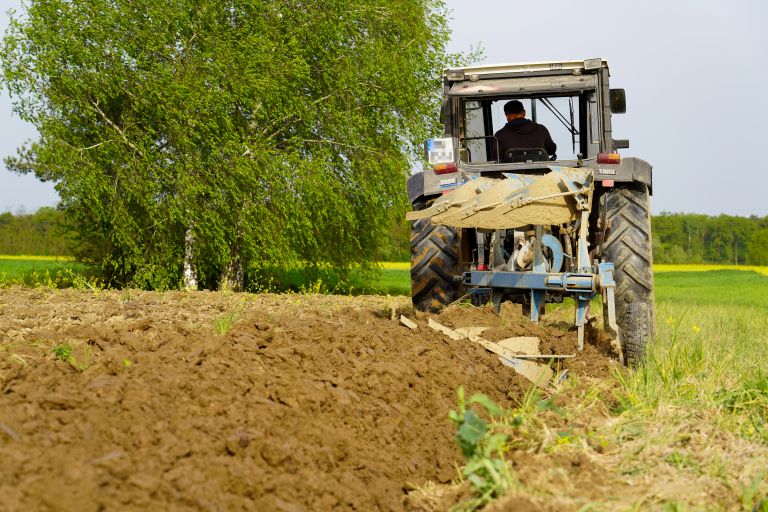 kmetijstvo, poljedeljstvo, njive, traktor, gnojenje
