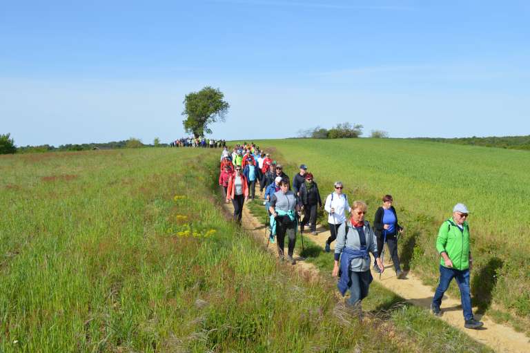 pot-po-močvari, lončarovci, pohod