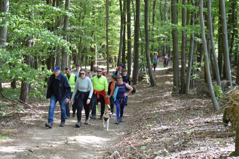 pot-po-močvari, lončarovci, pohod