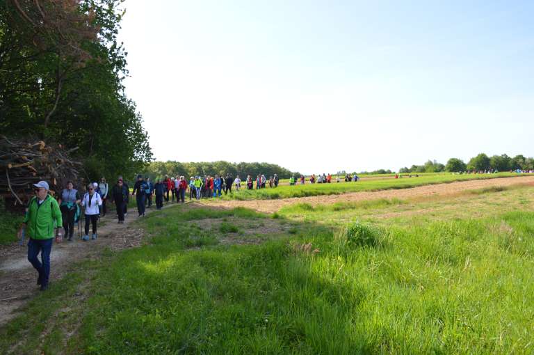 pot-po-močvari, lončarovci, pohod