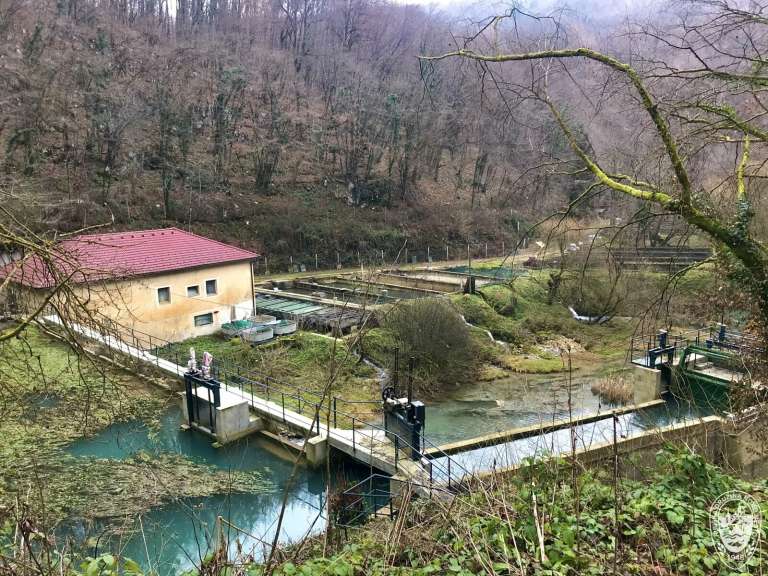 ribogojnica_lunkja_jan.jpg