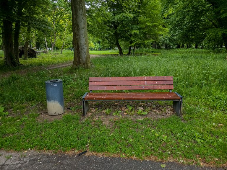 vrane, mestni-park, murska-sobota, ptiči