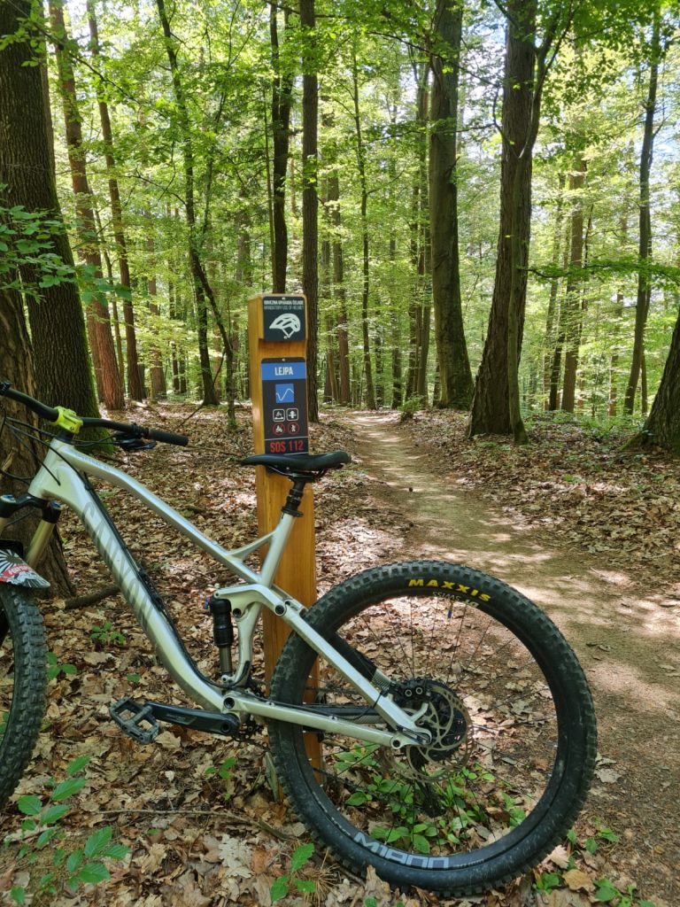 kolesarski-park-tromeja, bike-park, zavod-jelen, mtb