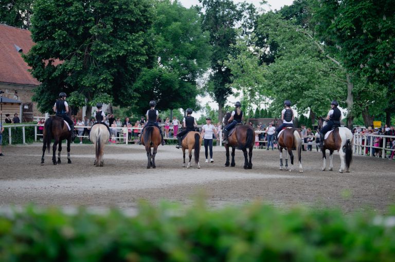 dvorec-rakičan, konjeniški-center, dan-odprtih-vrat, konji