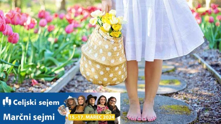 celjski-sejem