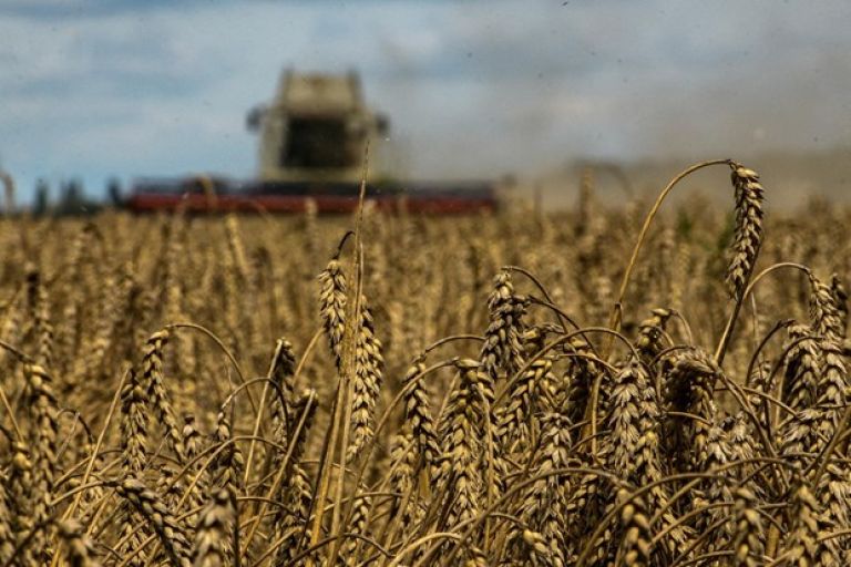 2022-10-30T195336Z_1818796175_RC2YSV9LRDWP_RTRMADP_5_UKRAINE-CRISIS-GRAINS