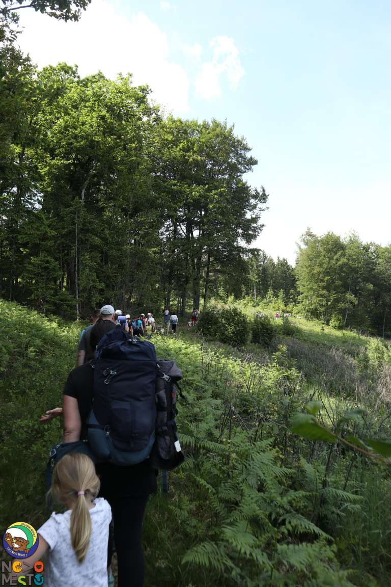vodnizig_img_3084_000.jpg