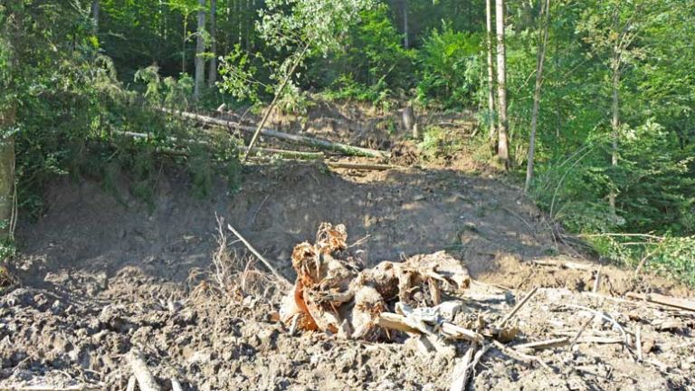 plaz-florjan-goličnik-2444