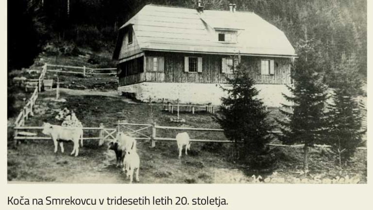 koca-na-smrekovcu