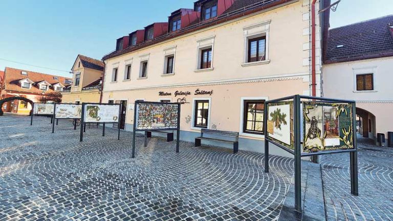 razstava-voščilnic-šoštanj-(3)