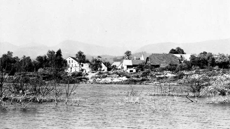 druzmirje