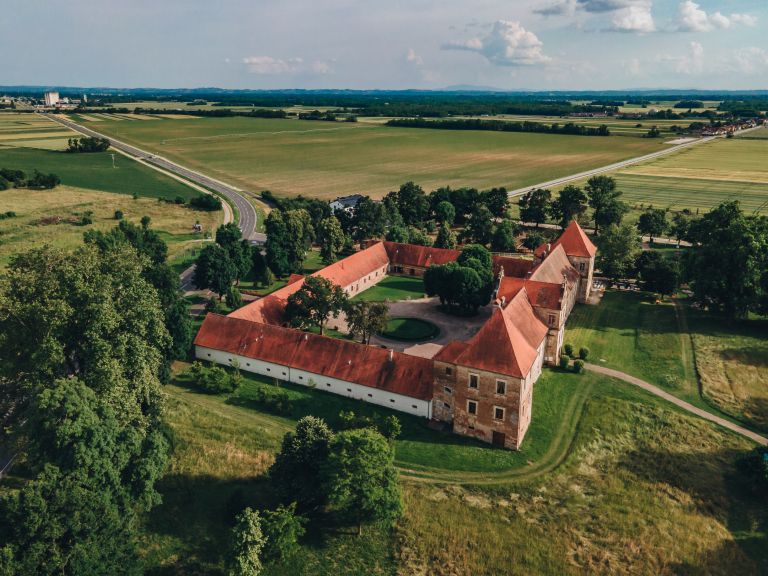 ris, dvorec-rakičan, grad, rakičan, dron