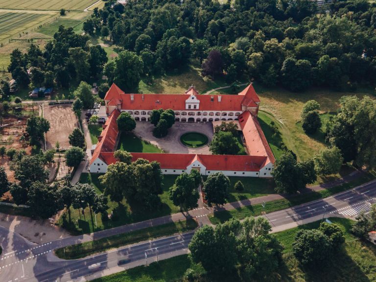 ris, dvorec-rakičan, grad, rakičan, dron