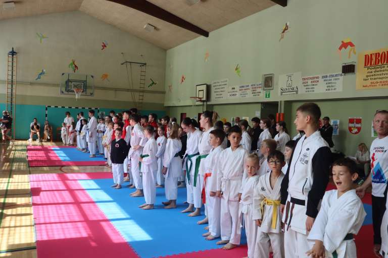 karate, klub, tekmovanje