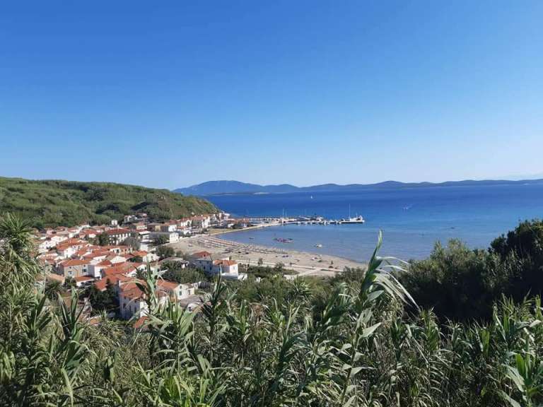 otok-susak