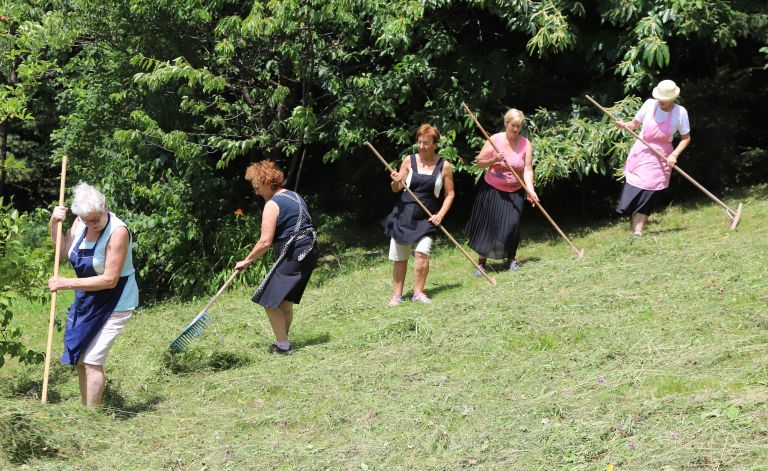 NČ Grabljice grabiel in obračale so seno     F JM  IMG_9367.JPG