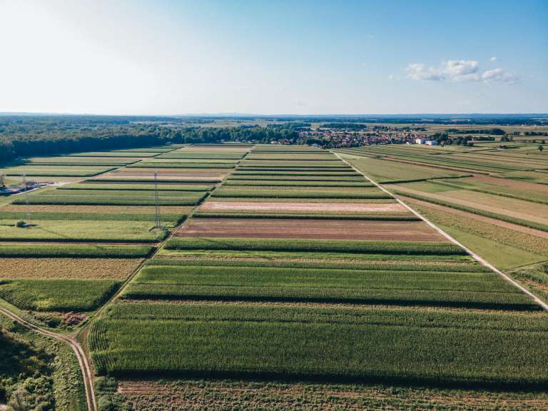 simbolična, njiva, polje, kmetijstvo, podeželje, bistrica, dron