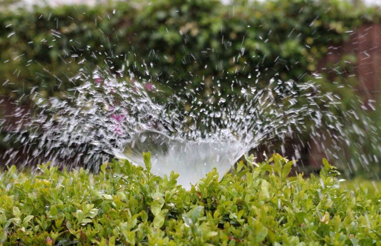 namakanje irrigation-2402568.jpg