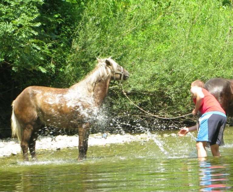 _kolpa.jpg