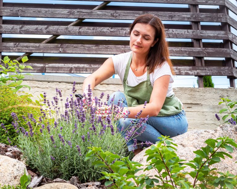 balkonsko-cvetje, ureditev-vrta