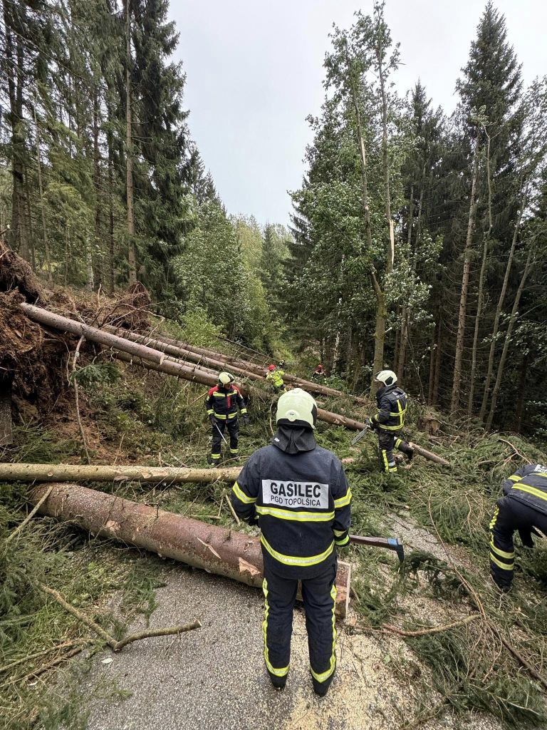 topolšica vetrolom.jpg