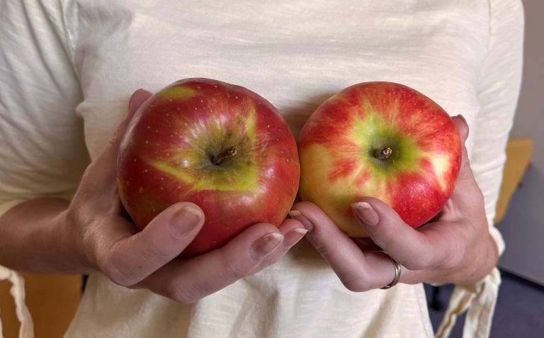 samopregledovanje dojk.jpg