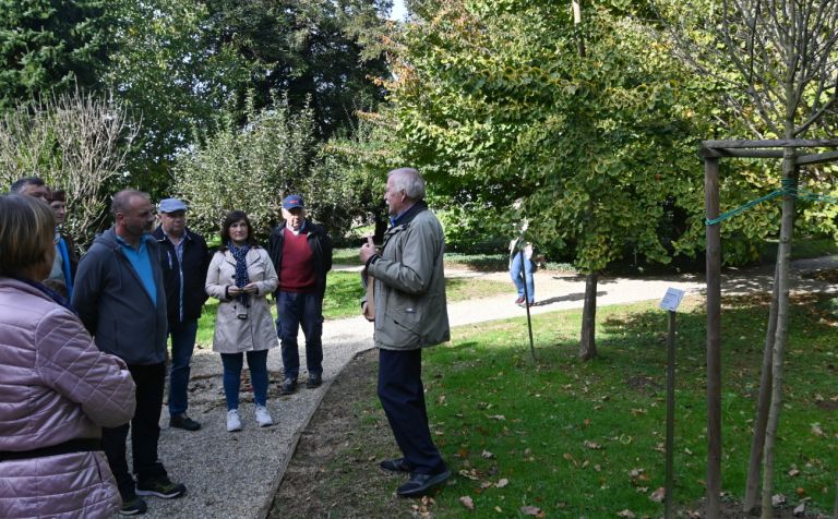 vrt-spominov-in-tovarištva, cankarjeva-brigada, navadna-breza