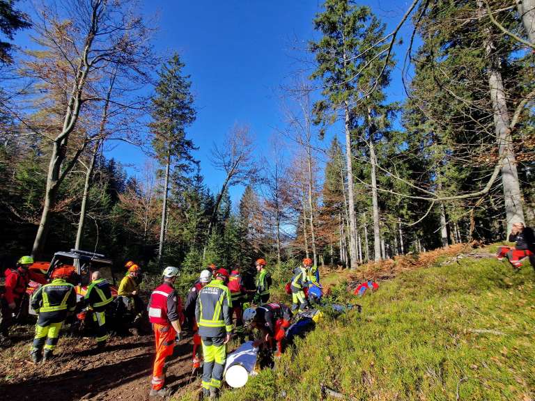 (Foto) 61-letnega Gozdarja V Glavo Udarila Debelejša Veja: "Žal Na ...