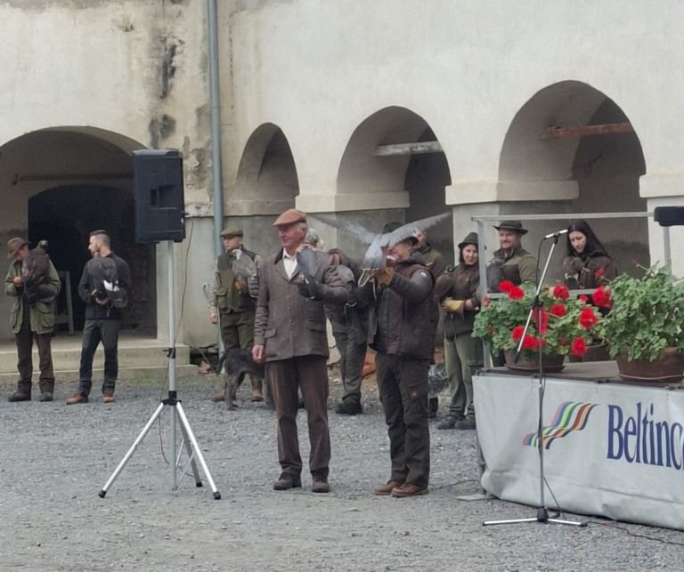 sokoli, lov-sokoli, beltinci