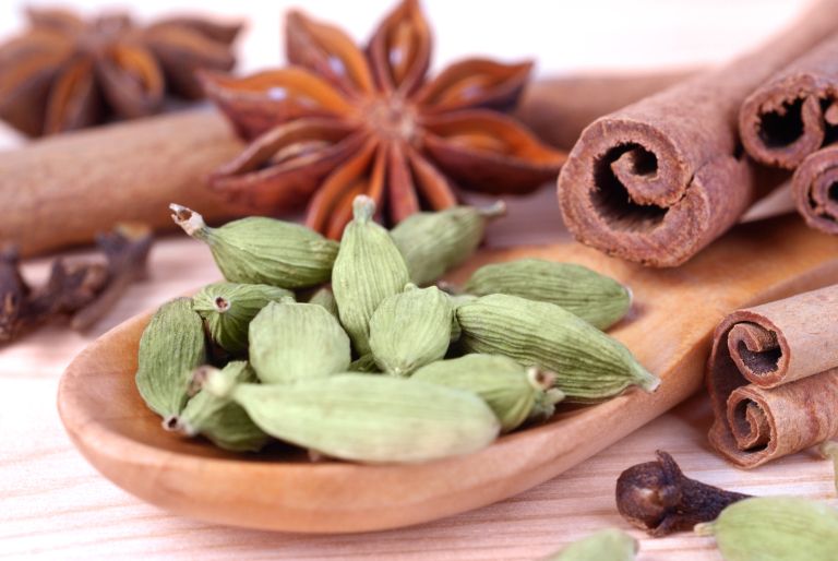 dišeči naslovna-dec24.jpg