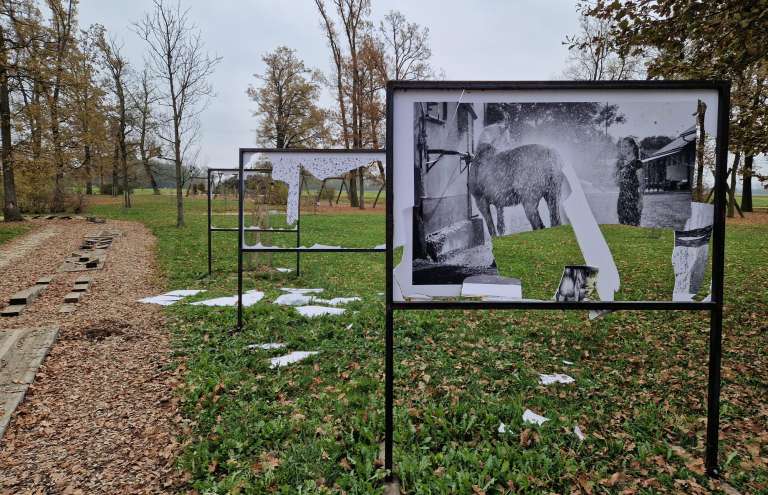 vandalizem, razstava, park-dozivetij, boreci, obcina-krizevci