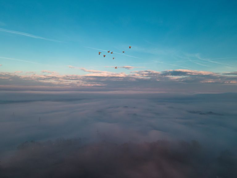 simbolična, nebo, megla, dron, murska-sobota, sončni-zahod, sonce, oblaki, ptiči, ptice