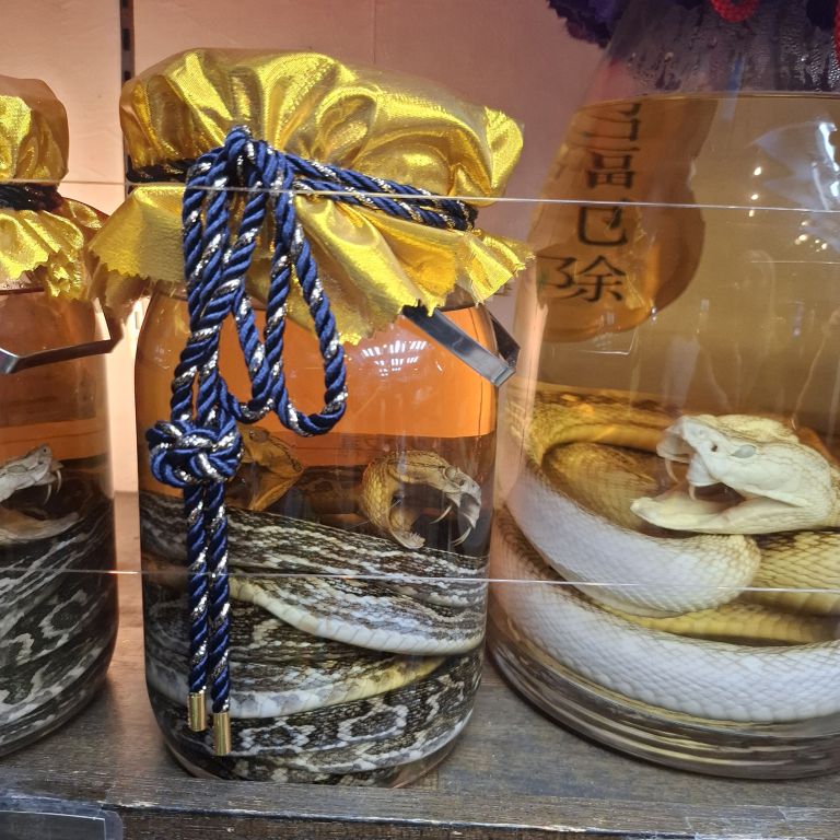 Habushu, kačje vino  .jpg