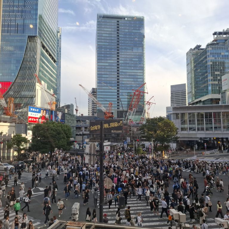 Križišče, ki ga dnevno prečka več kot milijon ljudi .jpg