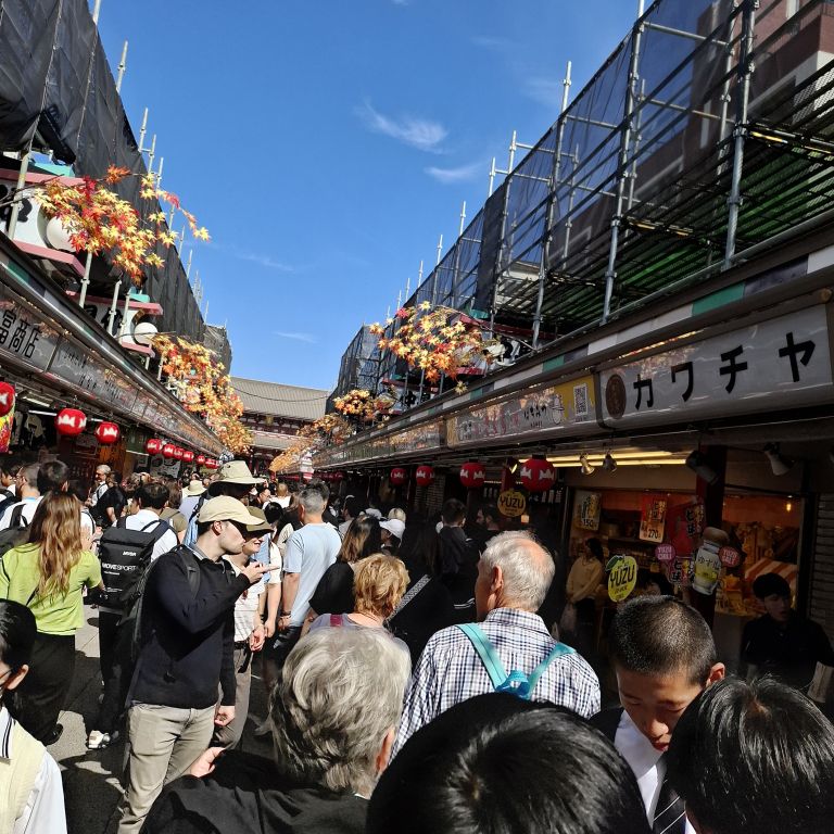 Običajna gneča na tržnicah, ulicah s trgovinami.jpg