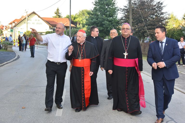 benkovic rode stumpf -jure zauneker.jpeg