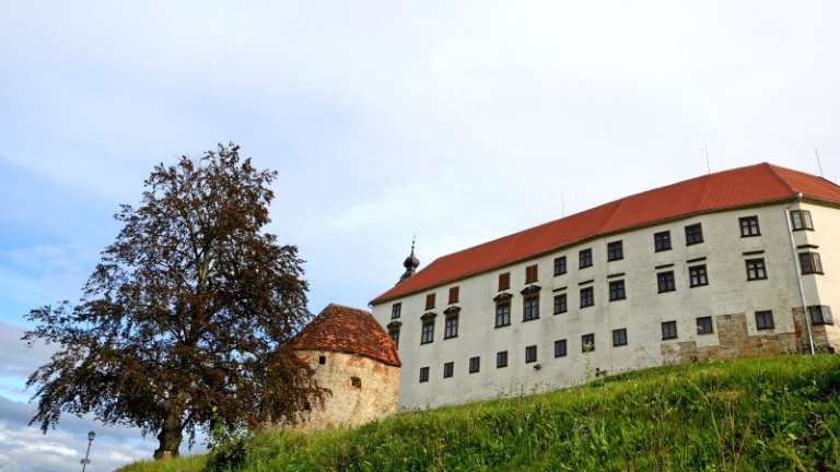 1665060351_cg_muzej.jpg